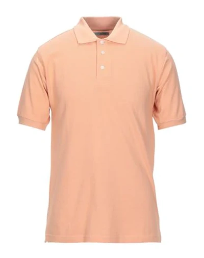 Shop Hardy Crobb's Man Polo Shirt Apricot Size Xl Cotton In Orange