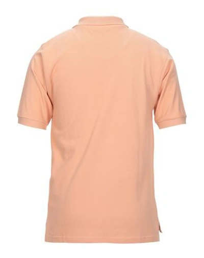 Shop Hardy Crobb's Man Polo Shirt Apricot Size Xl Cotton In Orange