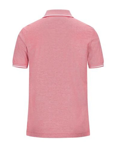 Shop Paul & Shark Man Polo Shirt Red Size Xs Cotton