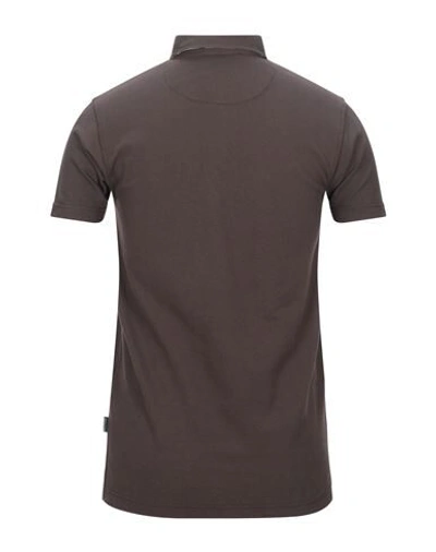 Shop Aquascutum Polo Shirts In Dark Brown