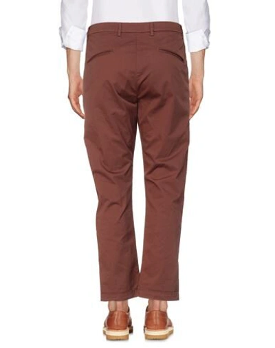 Shop Pence Man Pants Cocoa Size 36 Cotton, Elastane In Brown
