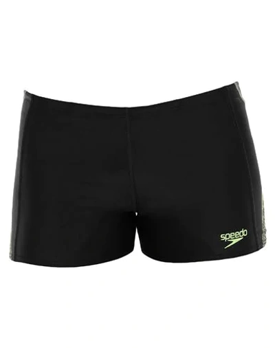 Shop Speedo Man Beach Shorts And Pants Black Size 32 Polyamide, Elastane