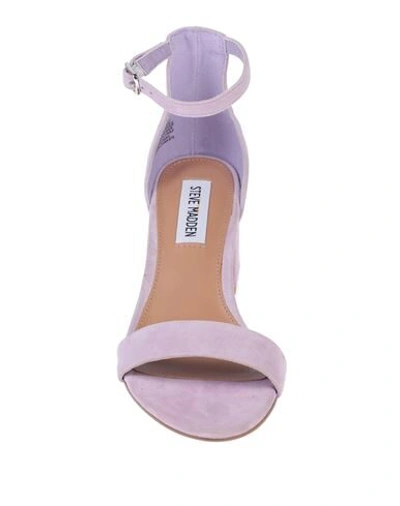 Shop Steve Madden Sandals In Lilac