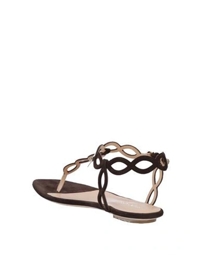 Shop Sergio Rossi Woman Thong Sandal Dark Brown Size 5 Soft Leather