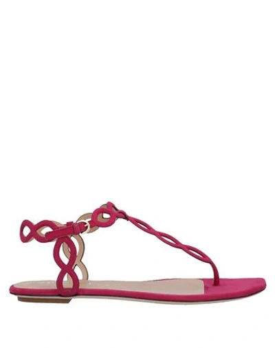Shop Sergio Rossi Woman Thong Sandal Garnet Size 4.5 Soft Leather In Red