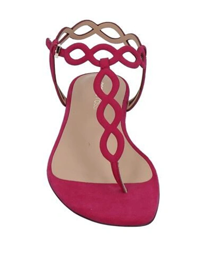 Sergio Rossi Toe Strap Sandals In Red