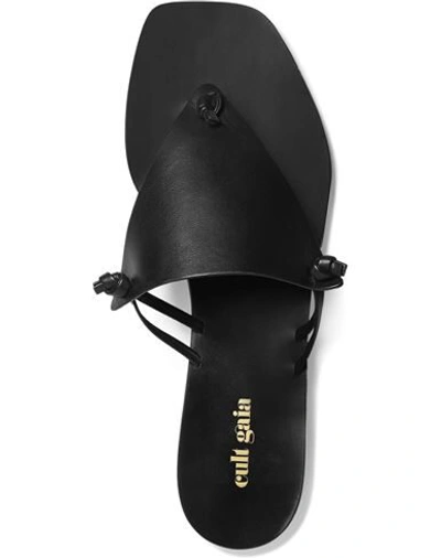 Shop Cult Gaia Woman Thong Sandal Black Size 5 Soft Leather