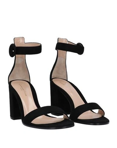 Gianvito Rossi Woman Sandals Black Size 7.5 Leather In Black