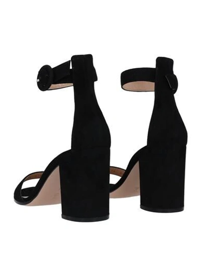 Gianvito Rossi Woman Sandals Black Size 7.5 Leather In Black