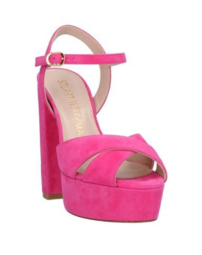 Shop Stuart Weitzman Sandals In Fuchsia