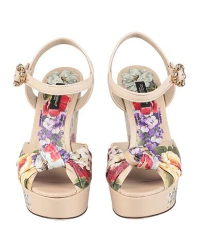 Shop Dolce & Gabbana Woman Sandals Beige Size 6 Calfskin