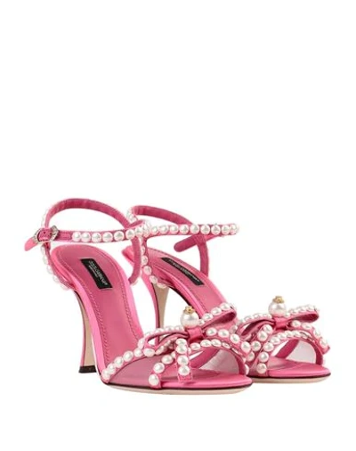 Shop Dolce & Gabbana Sandals In Fuchsia