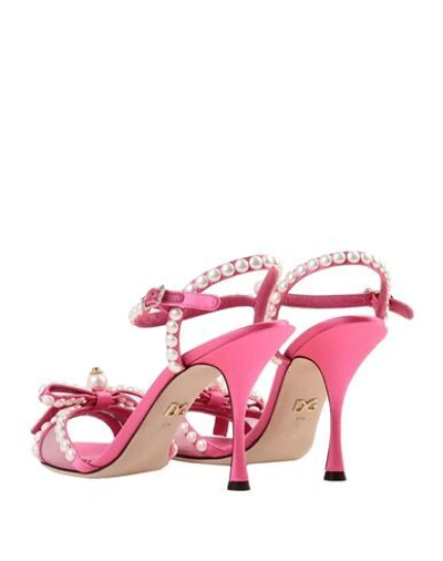 Shop Dolce & Gabbana Sandals In Fuchsia