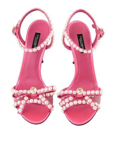 Shop Dolce & Gabbana Sandals In Fuchsia