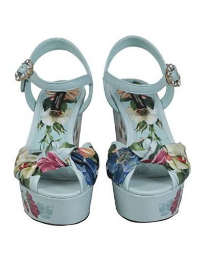 Shop Dolce & Gabbana Woman Sandals Sky Blue Size 7 Calfskin