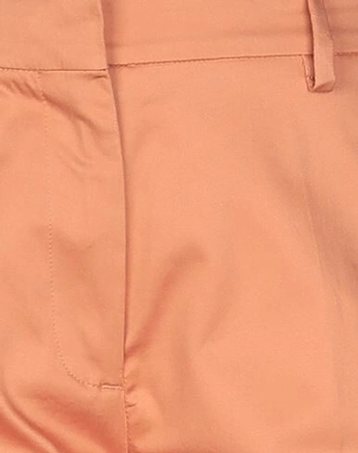 Shop Mauro Grifoni Grifoni Woman Pants Apricot Size 6 Cotton, Elastane In Orange