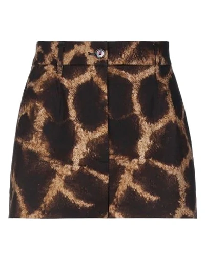 Dolce & Gabbana Shorts & Bermuda Shorts In Dark Brown