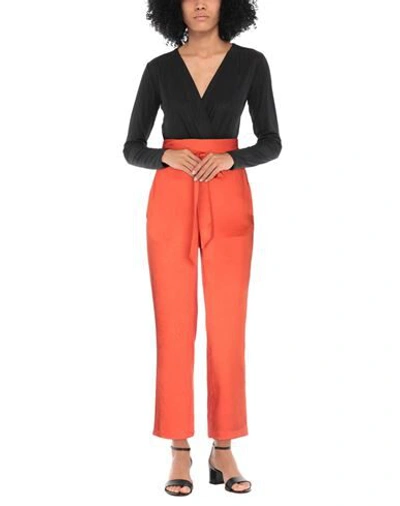 Gold Case Pants In Orange