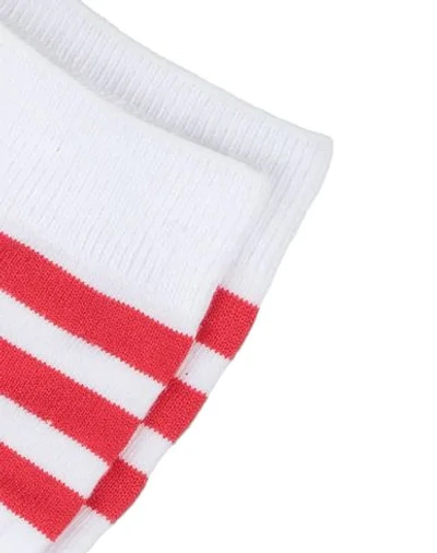 Shop Adidas Originals X Fiorucci Socks & Tights In White