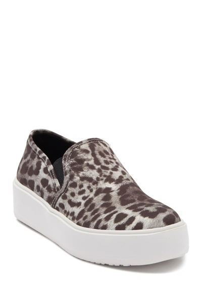 Shop Steve Madden Rogue Platform Slip-on Sneaker In Grey Leopard