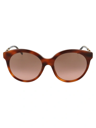 Shop Gucci Gg0653s Sunglasses In 002 Havana Gold Brown