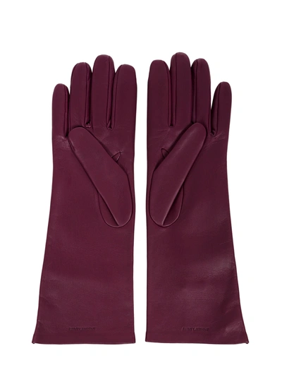 Shop Saint Laurent Gloves In Purple