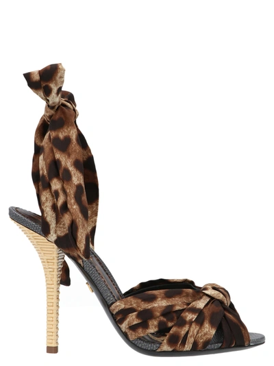 Shop Dolce & Gabbana Shoes In Leopardato