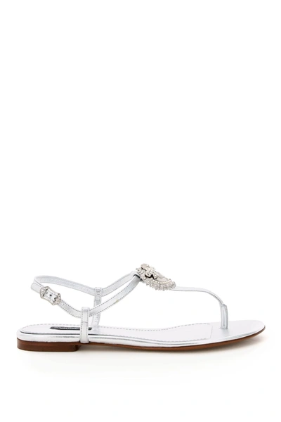 Shop Dolce & Gabbana Devotion Thong Sandals In Grigio