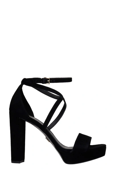 Shop Michael Kors Charlize Sandals In Black Suede