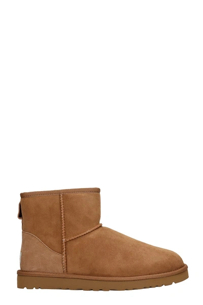 Ugg 'classic Mini' Brown Ankle Boots With Logo Patch On The Rear And Shearling Lining In Suede Man In Brown