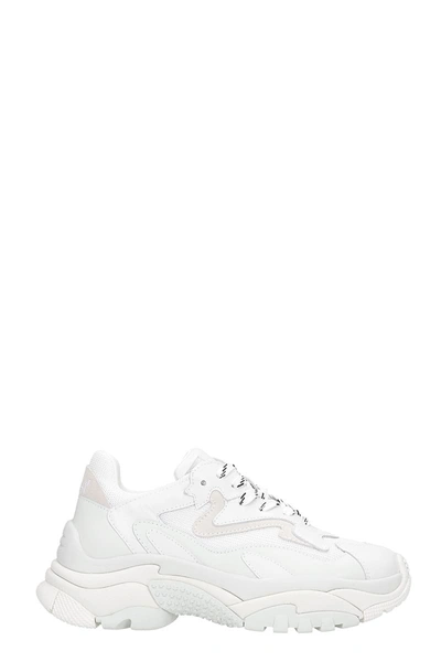 Shop Ash Addict 12 Sneakers In White Leather