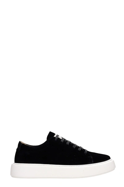 Shop Low Brand Shelby Sneakers In Black Suede