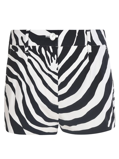 Shop Dolce & Gabbana Zebra Print Shorts In Zp