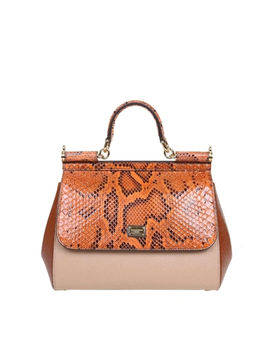 Shop Dolce & Gabbana Sicily Handbag In Leather With Python Print In Nocciola