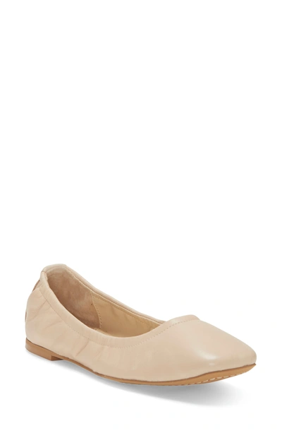 Shop Vince Camuto Brindin Leather Flat In Bungalow Beige Leather