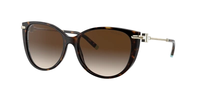 Shop Tiffany & Co . Woman Sunglass Tf4178 In Brown Gradient