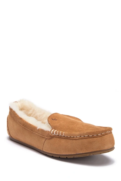 Shop Koolaburra By Ugg Lezly Faux Shearling Lined Slipper In Che