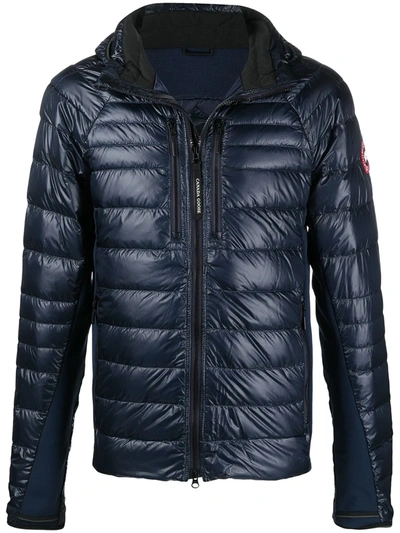 Shop Canada Goose Hooded Quilted Jacket In Blue