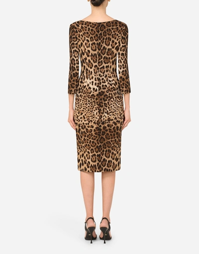Shop Dolce & Gabbana Leopard-print Cady Midi Dress In Multicolor