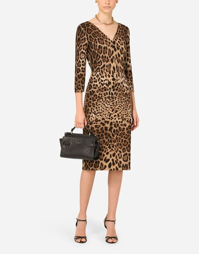 Shop Dolce & Gabbana Leopard-print Cady Midi Dress In Multicolor