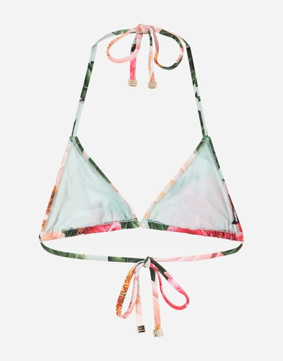 Shop Dolce & Gabbana Camellia-print Triangle Bikini Top