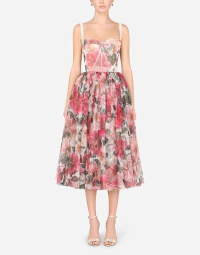 Shop Dolce & Gabbana 50s-style Midi Dress In Camellia-print Tulle In Multicolor