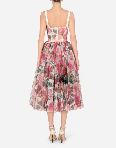 Shop Dolce & Gabbana 50s-style Midi Dress In Camellia-print Tulle In Multicolor