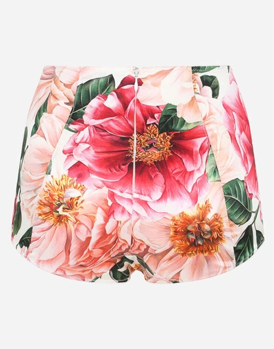 Shop Dolce & Gabbana Satin High-waisted Panties With Camellia Print In Multicolor