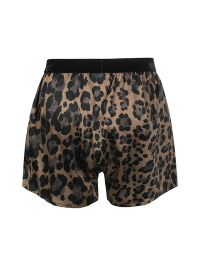 Shop Tom Ford Leopard-print Silk Boxers In Brown