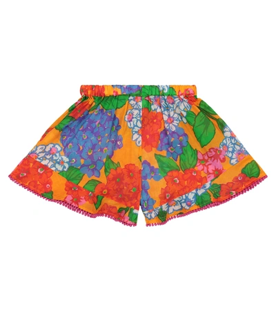 Shop Zimmermann Riders Cotton Shorts In Multicoloured