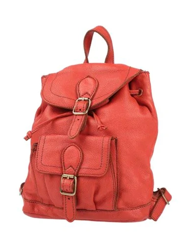 Shop Caterina Lucchi Backpacks In Orange