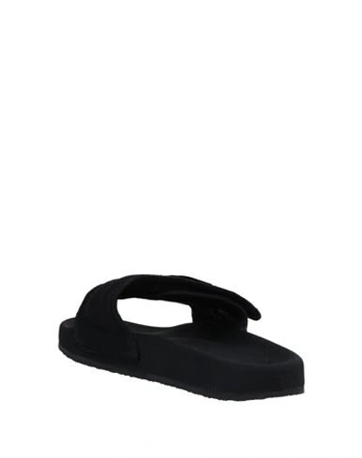 Shop Heron Preston Man Sandals Black Size 8 Textile Fibers