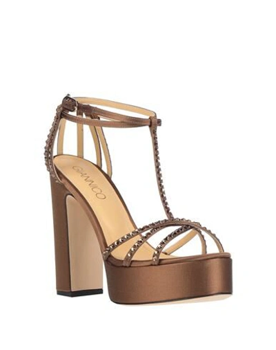 Shop Giannico Sandals In Brown