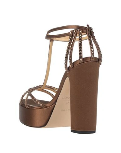 Shop Giannico Sandals In Brown